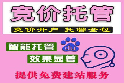行业标杆：某信息流广告公司的成功投放策略